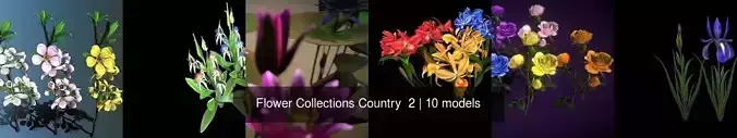 Flower Collections Country  2 