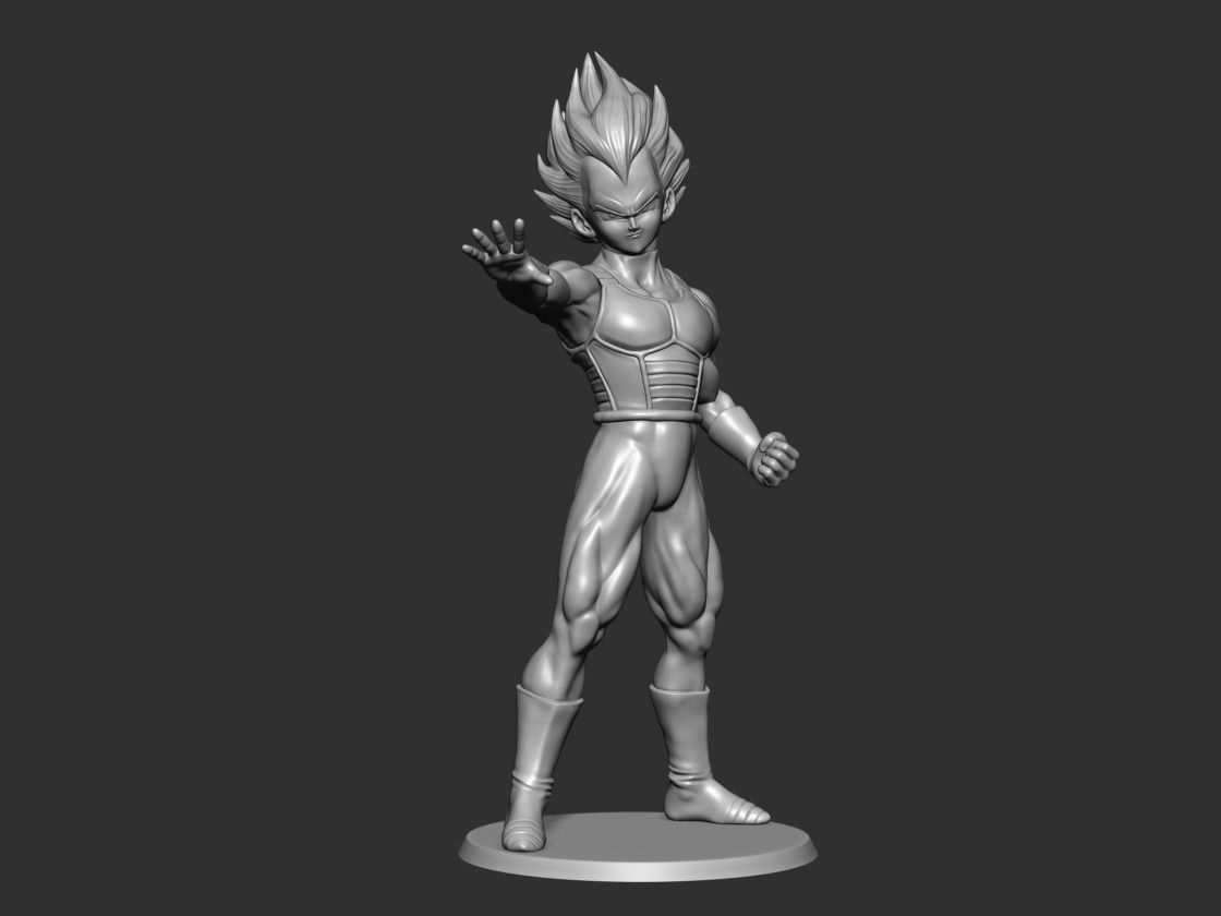 Vejiita Fan Art for 3DPrint 3D print model_1