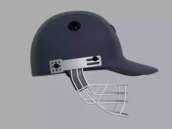 cricket helmet