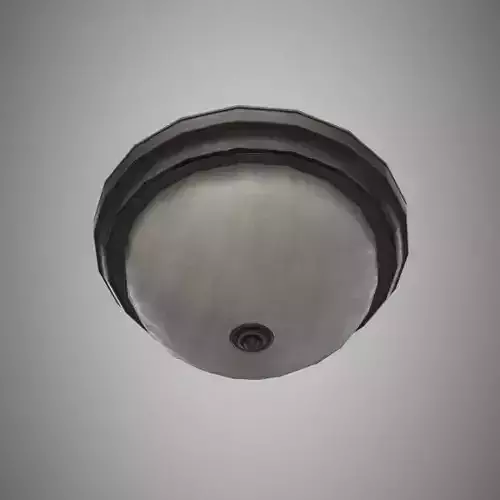 Ceiling Light