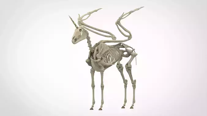 Alicorn Skeleton