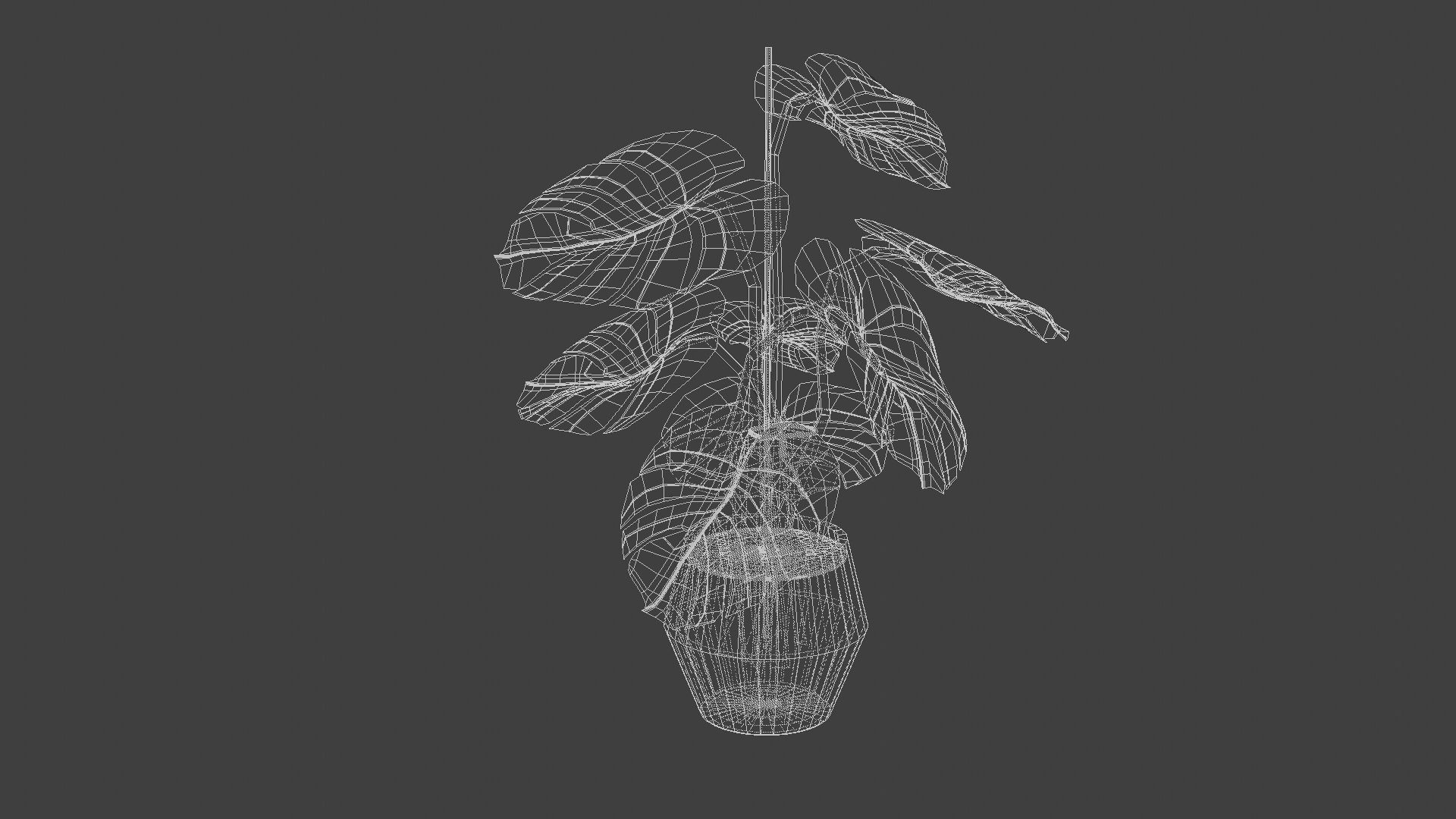 Flower plant 3d model 3D model_4