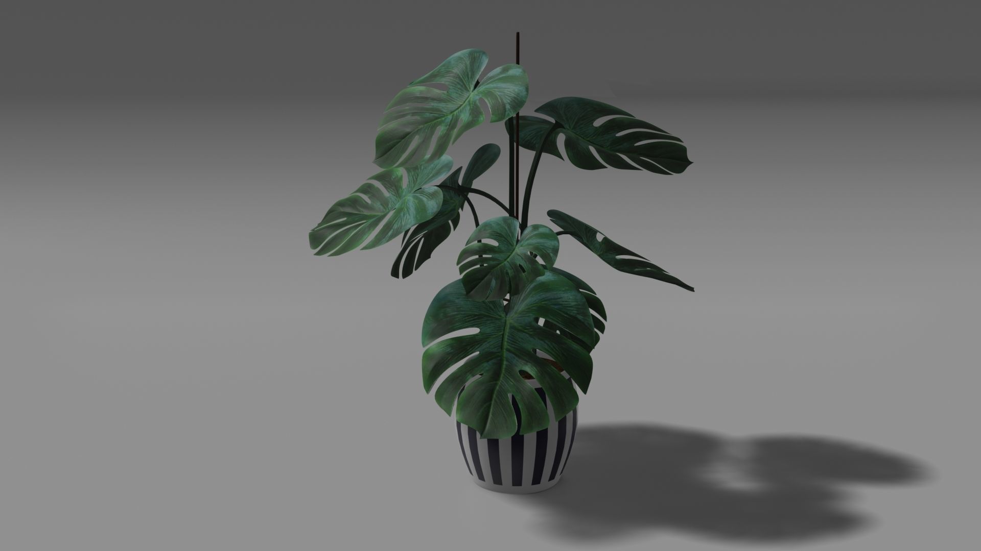 Flower plant 3d model 3D model_2