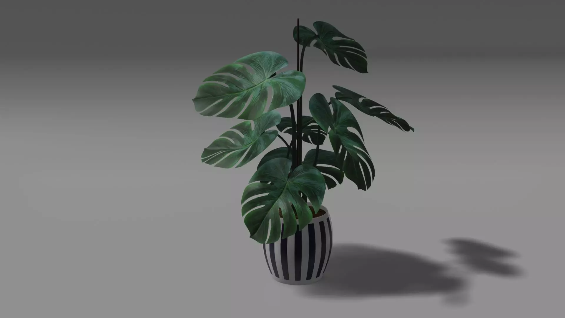 Flower plant 3d model 3D model_0