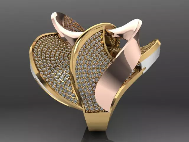 Fancy Ring Gold Silver 3D printing model 3D print model_0