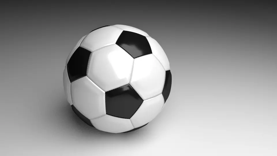 Black and White Ball 3D model