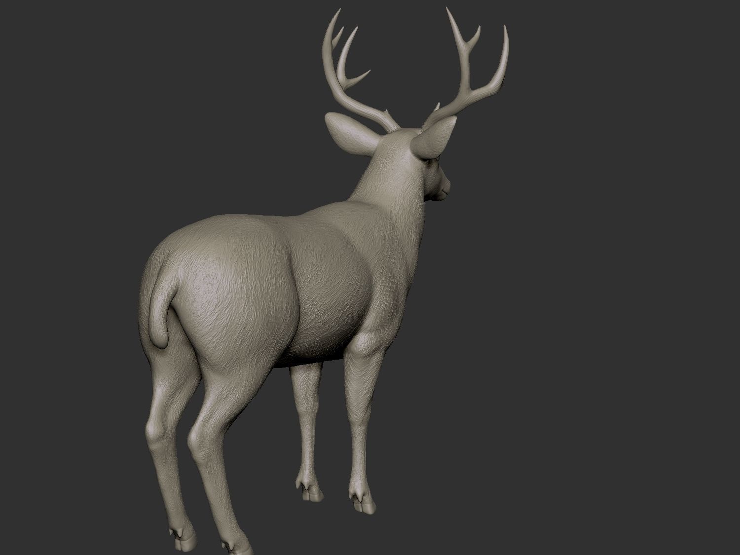Mule deer hires 3D model_3
