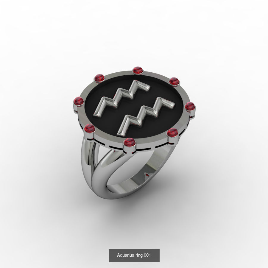 Zodiac Rings Collection _12