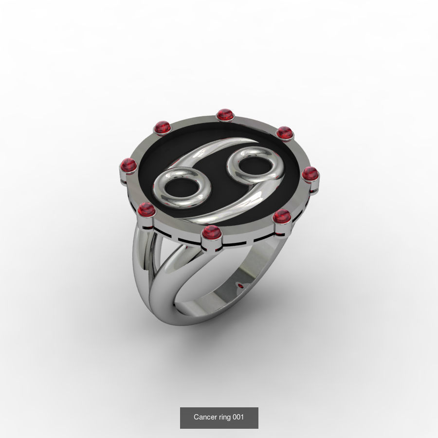 Zodiac Rings Collection _10