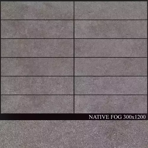 ABK Native Fog 300x1200 3D model