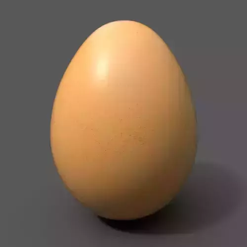 Realistic Chicken Egg Low-poly 3D model