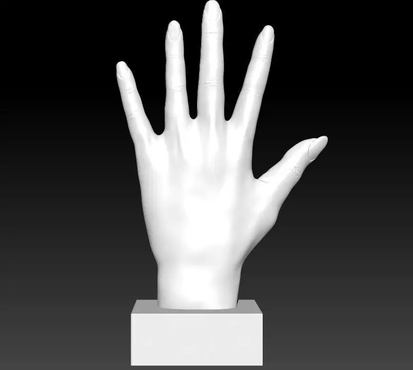 Woman hand 3D print model_0