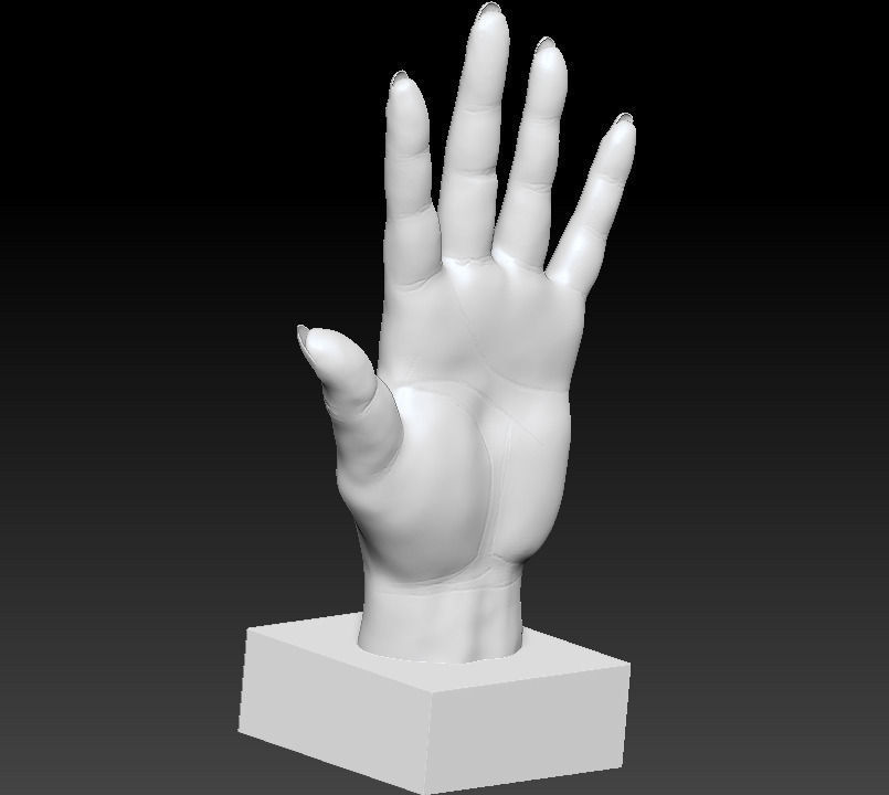 Woman hand 3D print model_1