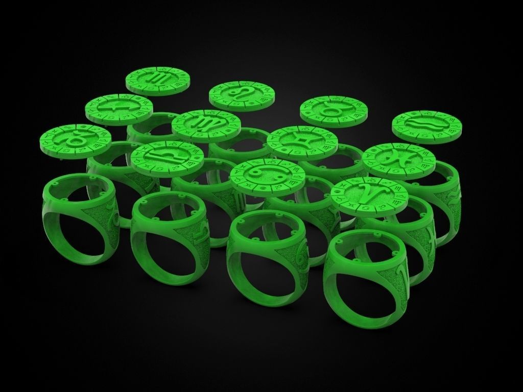 12 Zodiac Ring 3D print model_5