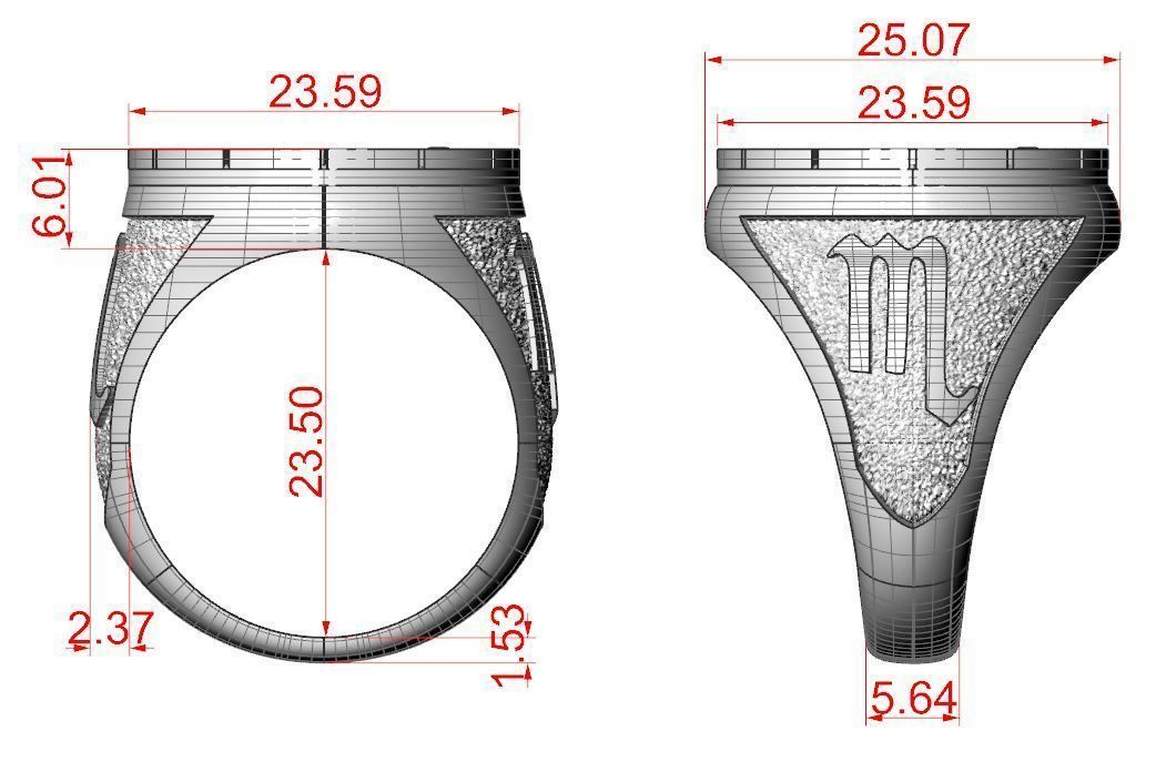 12 Zodiac Ring 3D print model_6