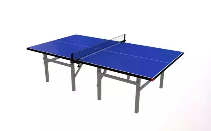 Ping Pong table