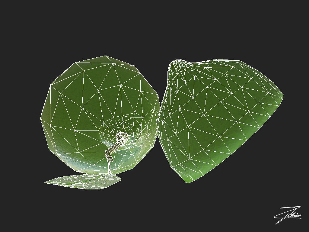 Lime fruit Low-poly 3D model_6