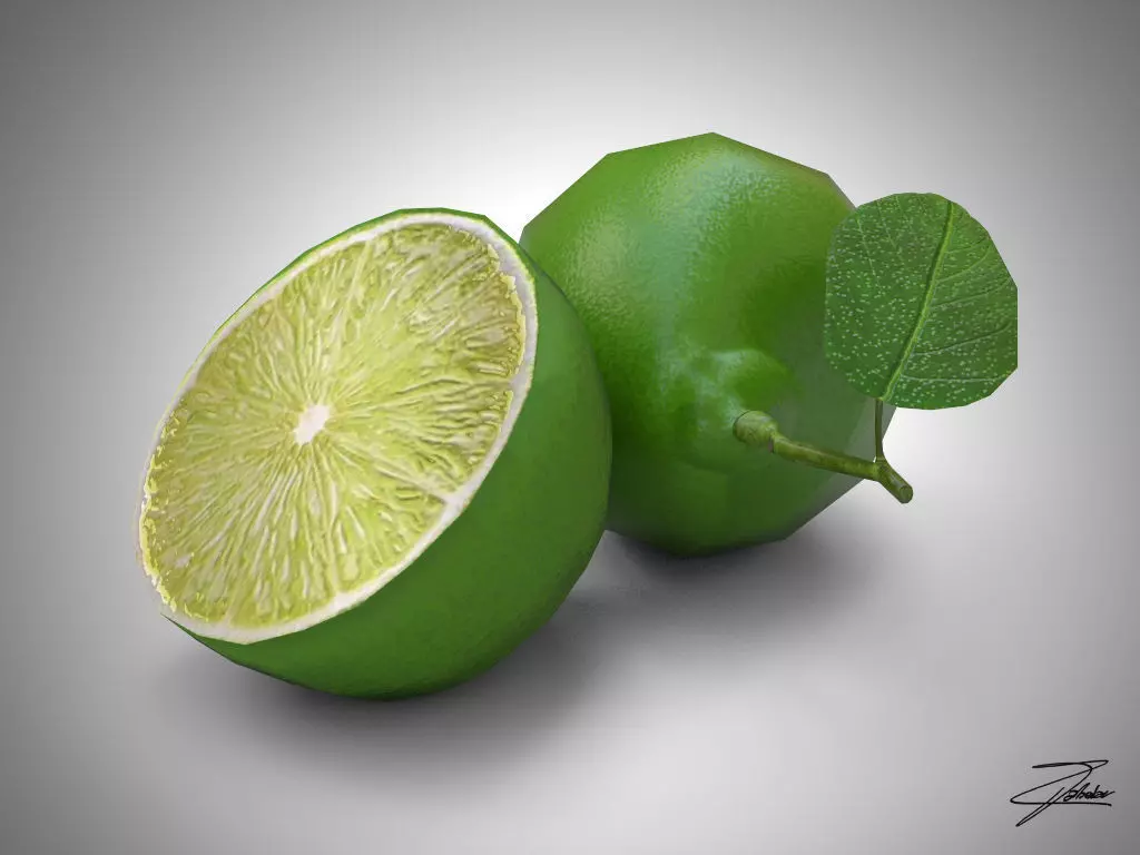 Lime fruit Low-poly 3D model_0