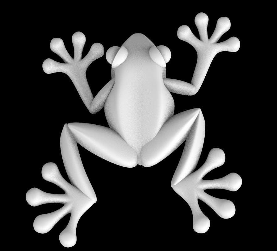 frog  toad 3D model_22