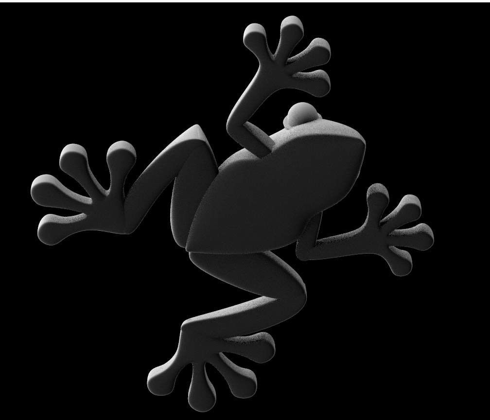 frog  toad 3D model_16