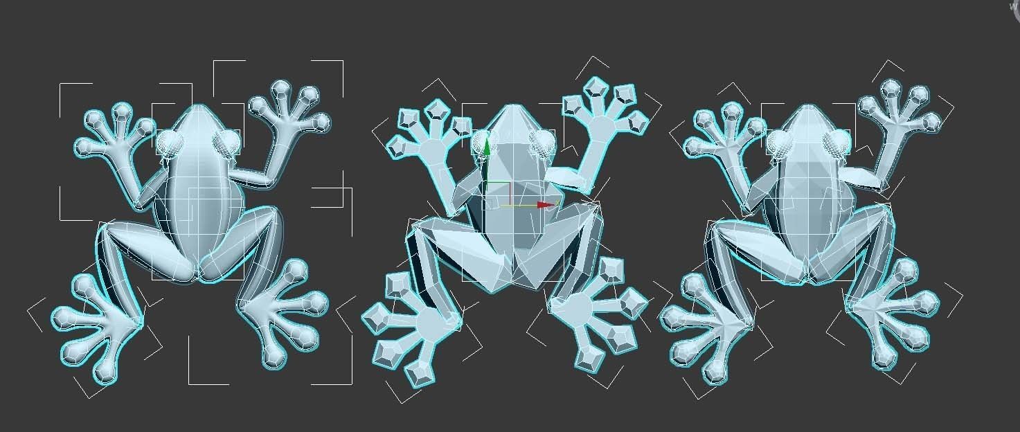 frog  toad 3D model_41