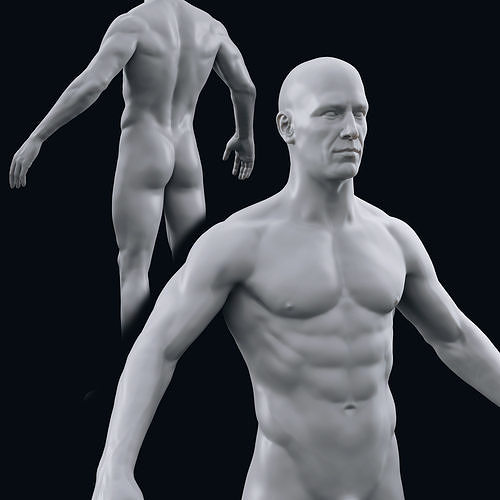 Realistic male body high poly 3D model 3D model