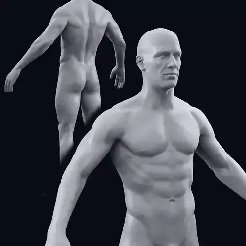Realistic male body high poly 3D model