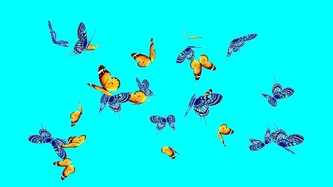 beautiful butterflies Low-poly 3D model