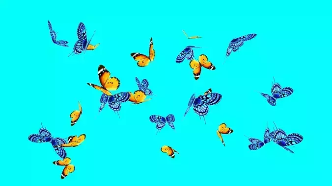 beautiful butterflies Low-poly 3D model