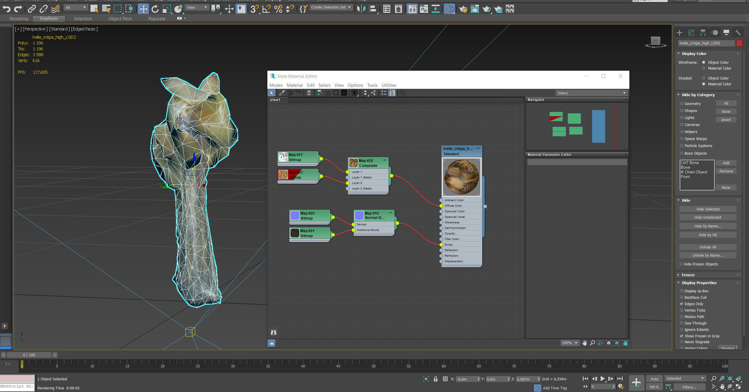 Helvella crispa aka white saddle mushroom 3D model_35