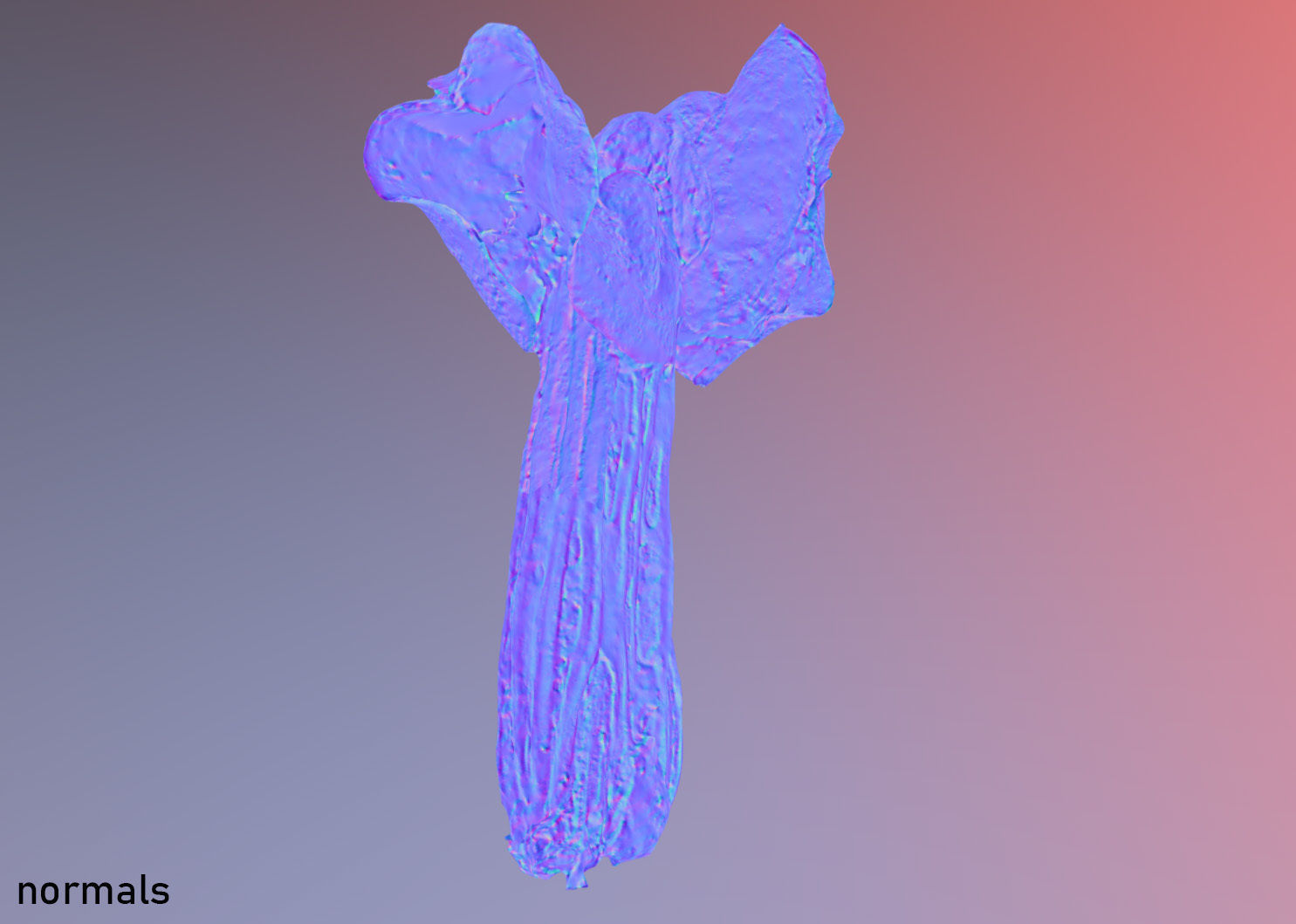 Helvella crispa aka white saddle mushroom 3D model_22