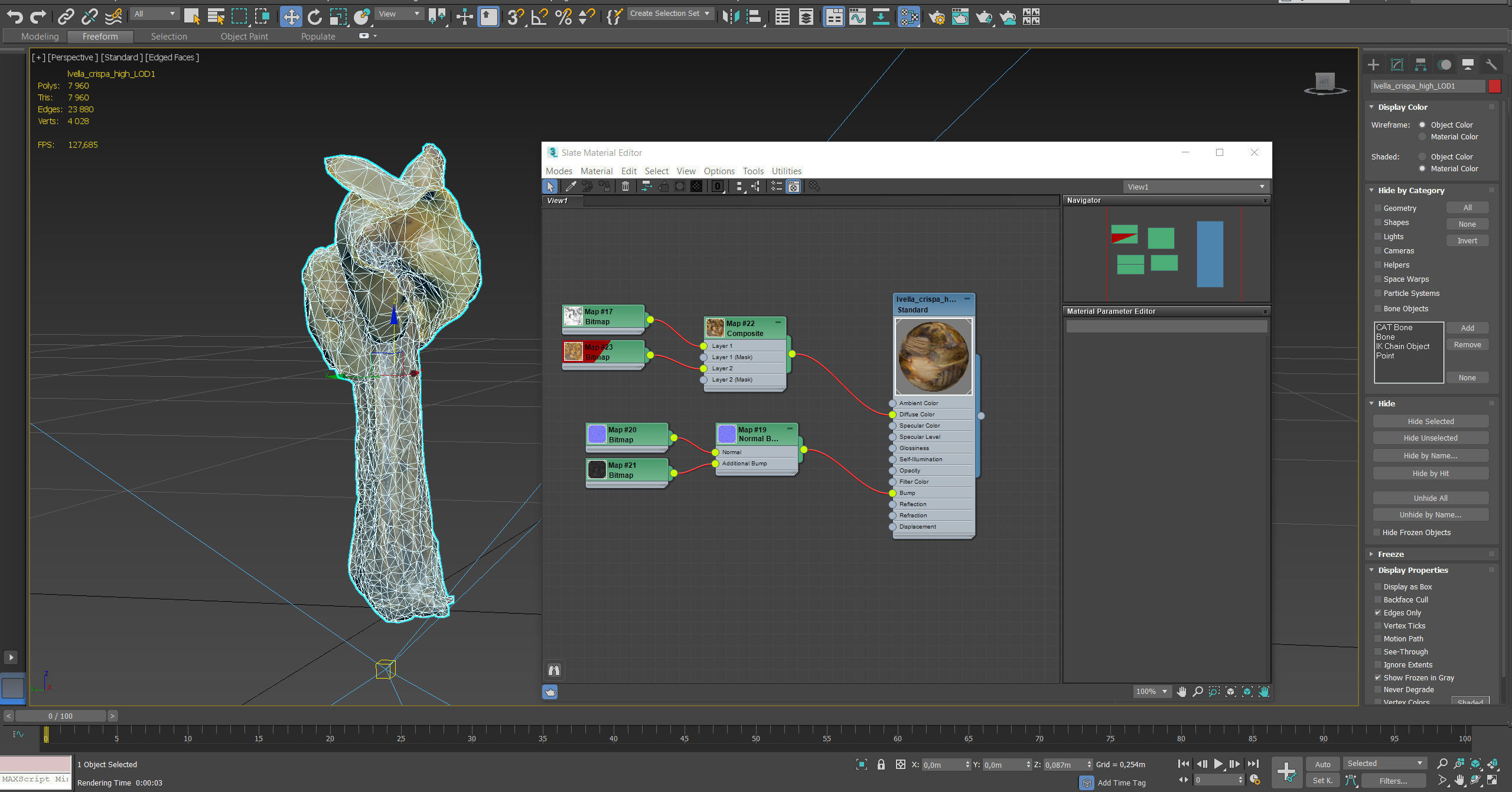 Helvella crispa aka white saddle mushroom 3D model_34