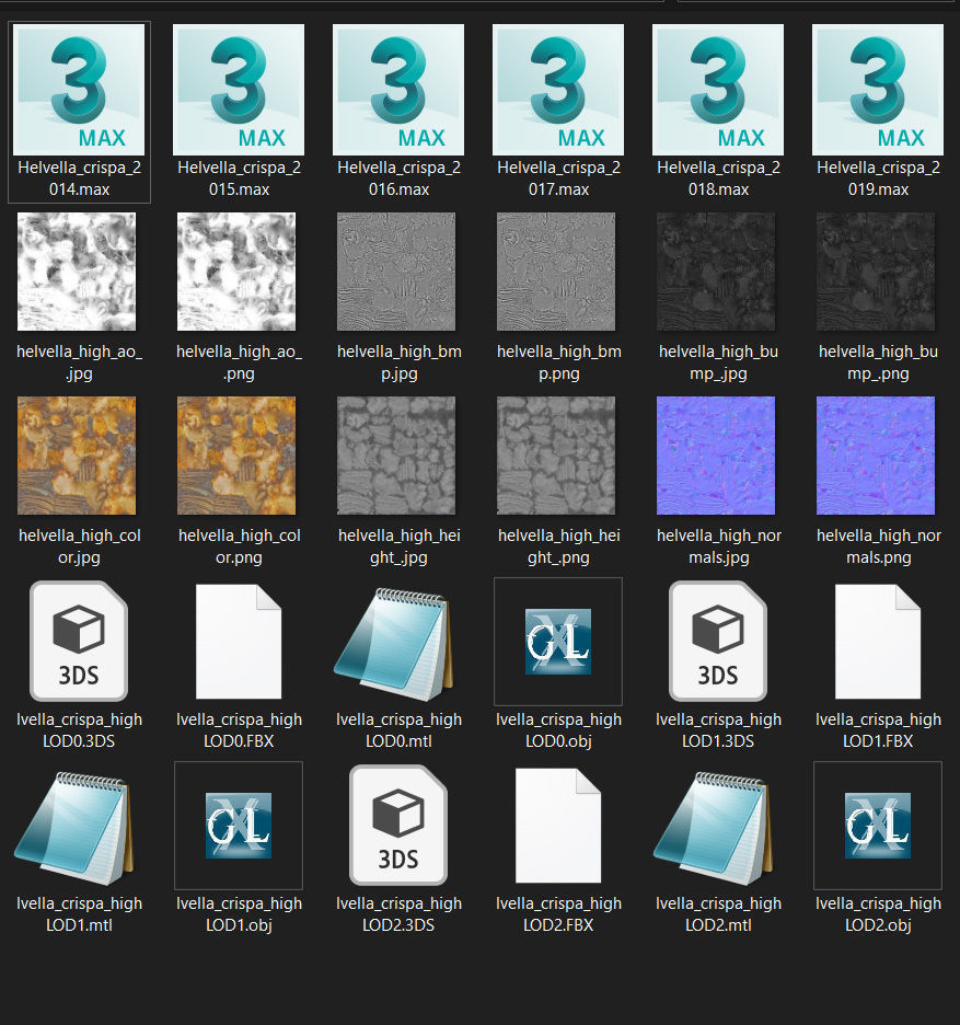 Helvella crispa aka white saddle mushroom 3D model_32