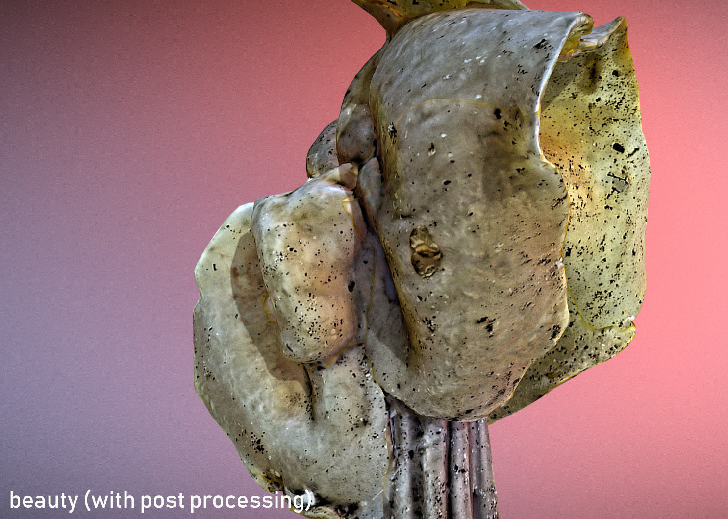 Helvella crispa aka white saddle mushroom 3D model_12