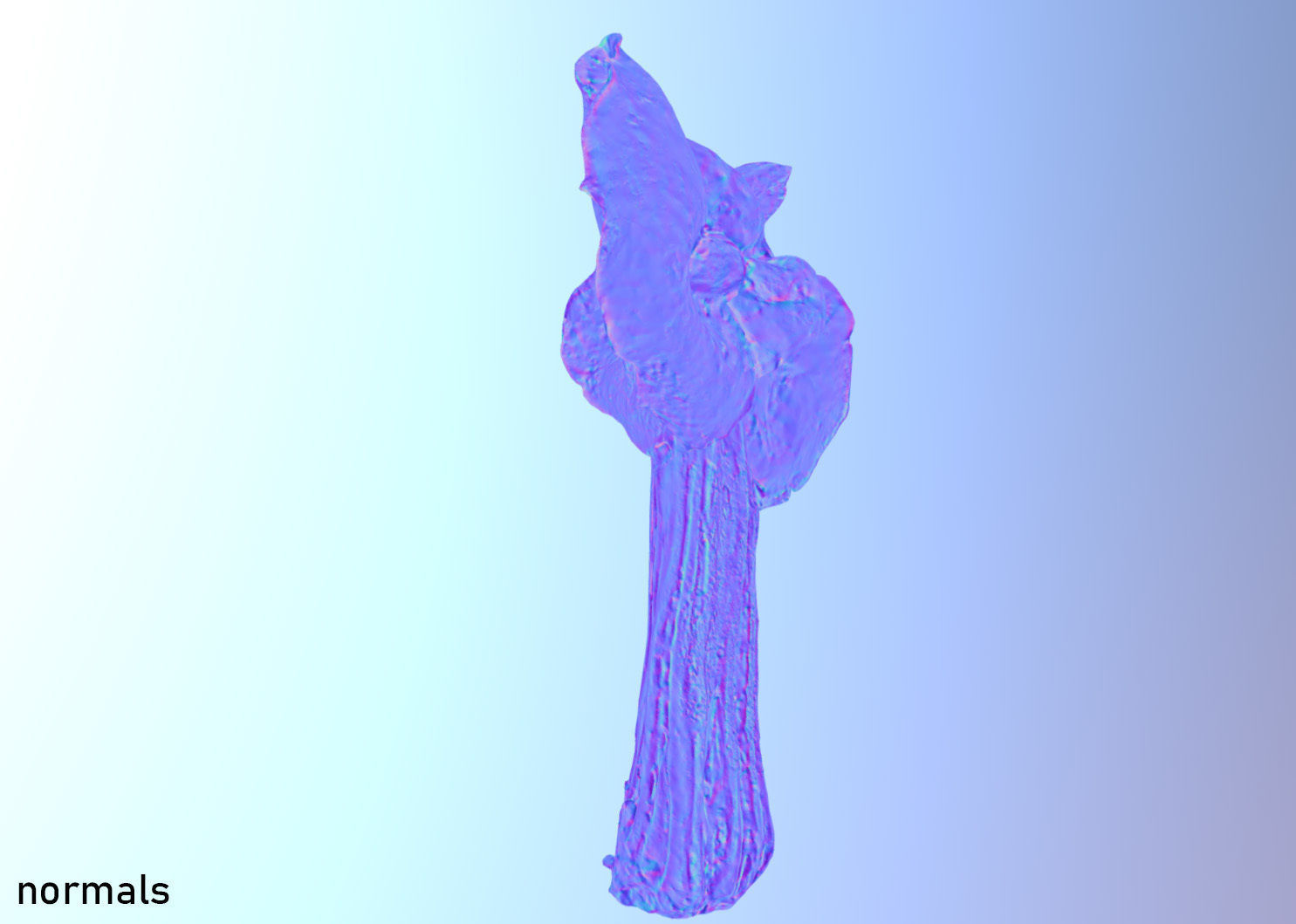 Helvella crispa aka white saddle mushroom 3D model_23