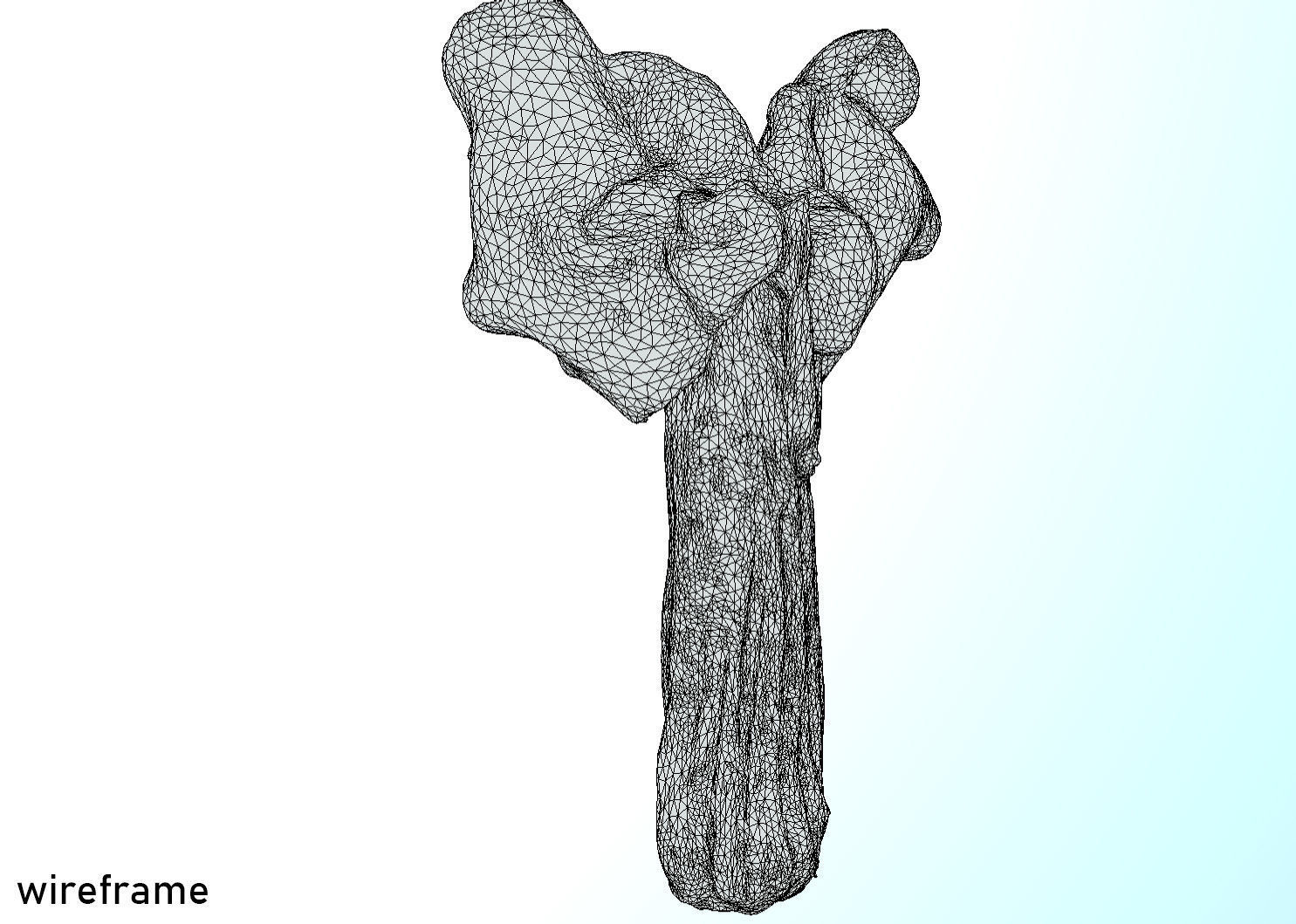 Helvella crispa aka white saddle mushroom 3D model_30