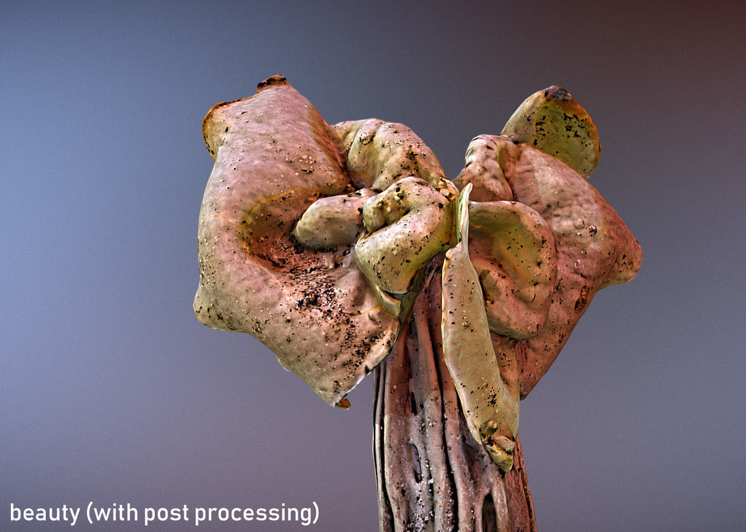Helvella crispa aka white saddle mushroom 3D model_13