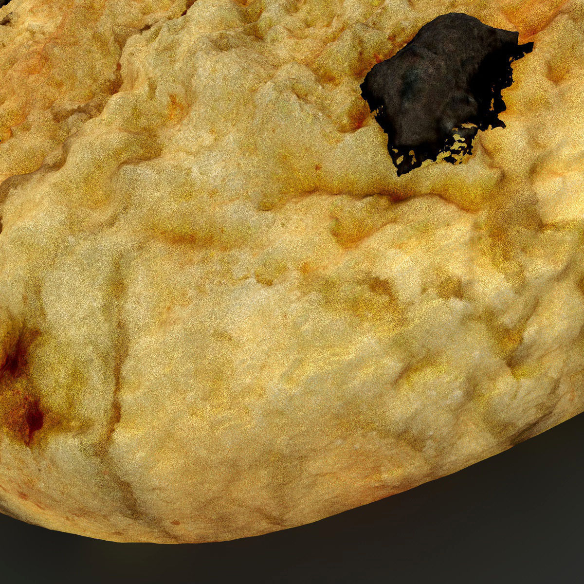 Realistic Cookie chocolate chip 3D model_4