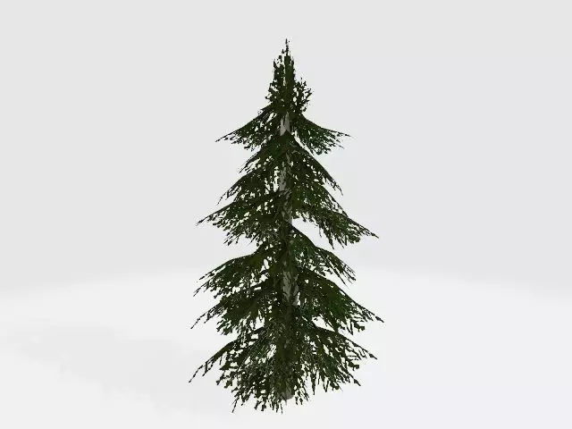 Cedar tree Free low-poly 3D model