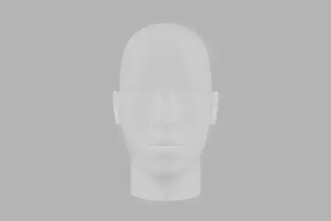 Face Model mannequin head