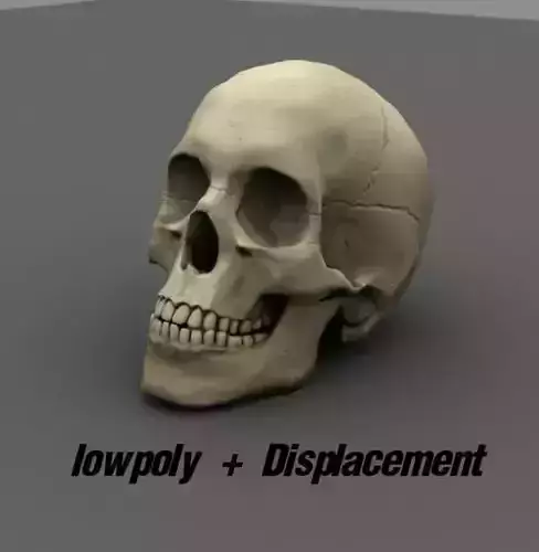 Skull Head 3D model