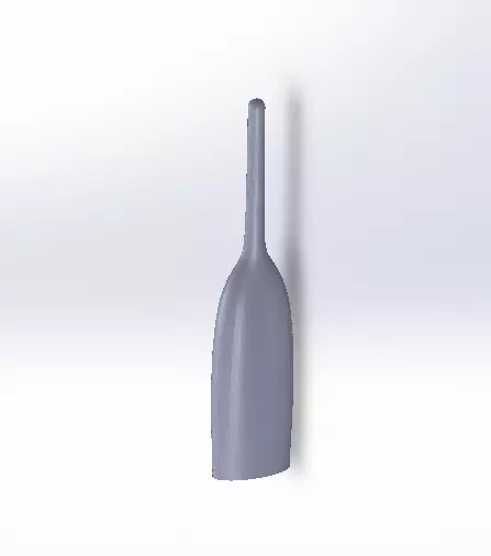 Detailed degree 3D print model_0