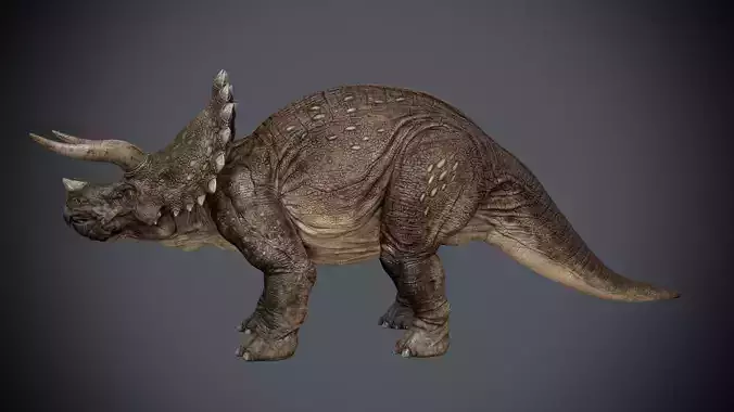 Triceratops-maya-Rigging dinosaur Low-poly 3D model