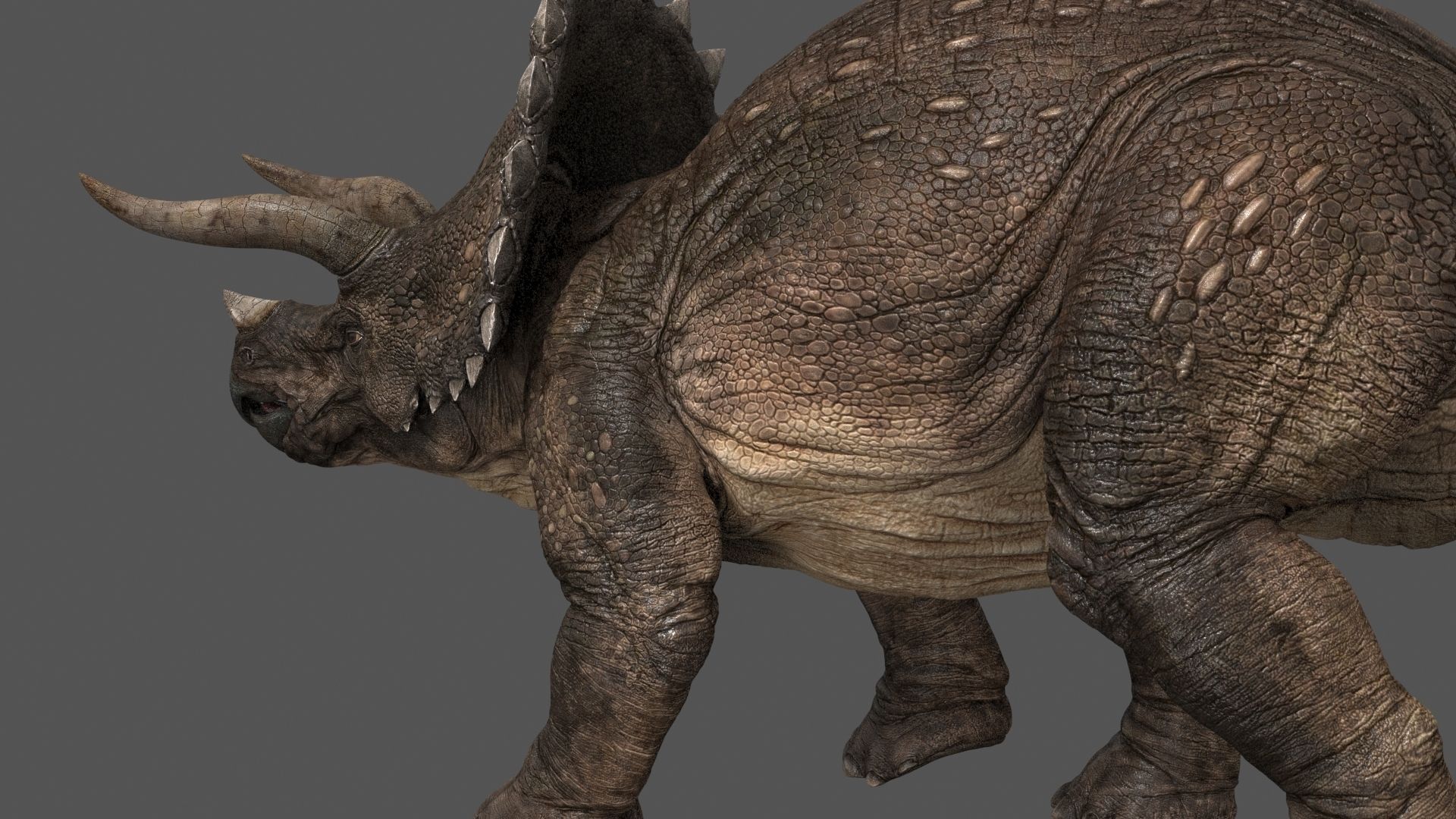 Triceratops-maya-Rigging dinosaur Low-poly 3D model_6