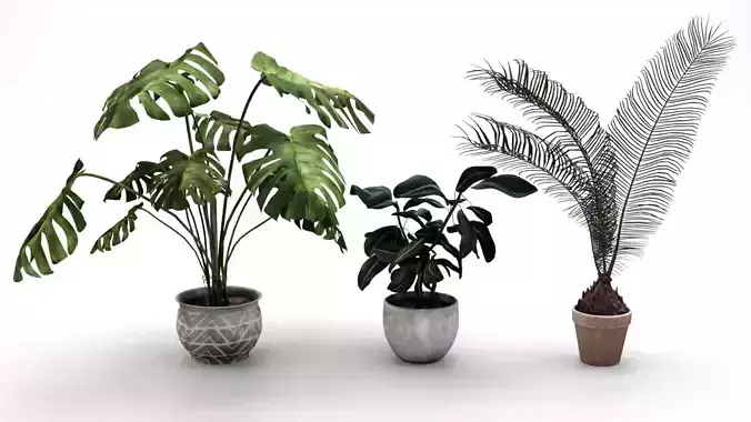 Plant Set 01