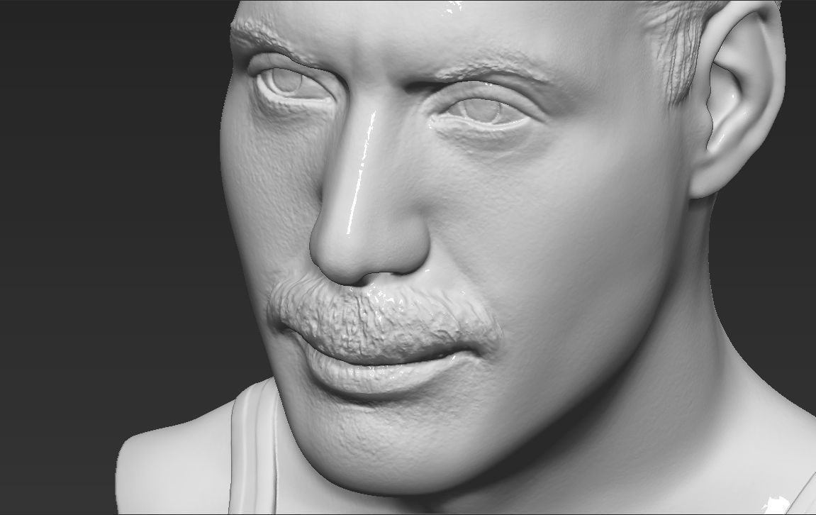 Freddie Mercury bust 3D printing ready stl obj formats 3D print model_16