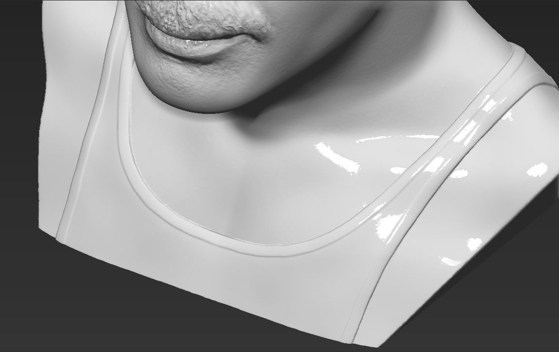 Freddie Mercury bust 3D printing ready stl obj formats 3D print model_23