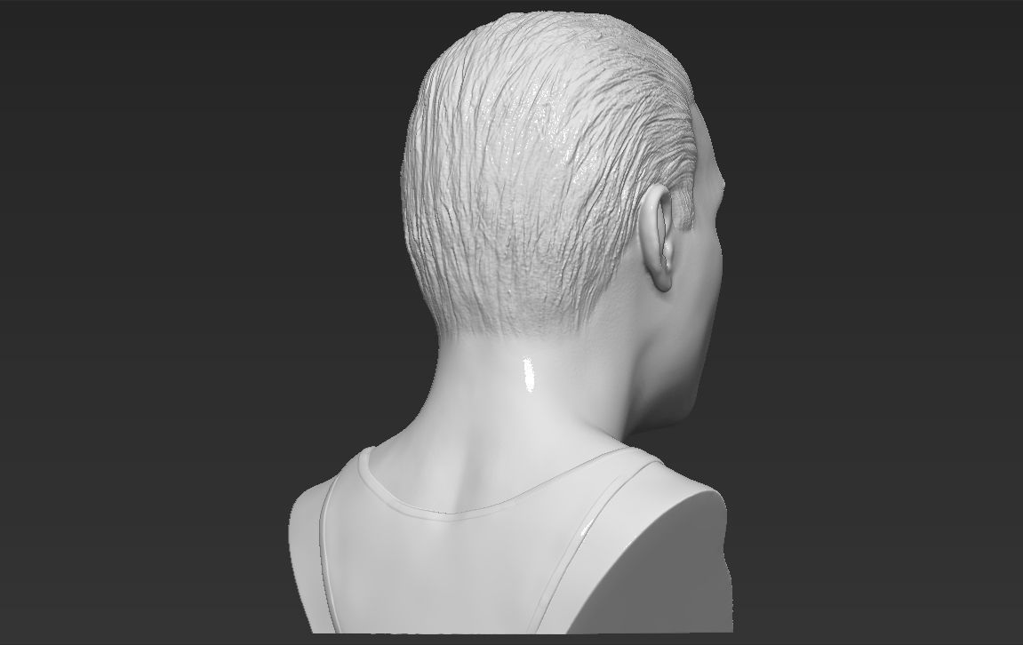 Freddie Mercury bust 3D printing ready stl obj formats 3D print model_7