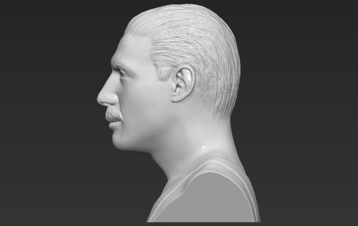 Freddie Mercury bust 3D printing ready stl obj formats 3D print model_3