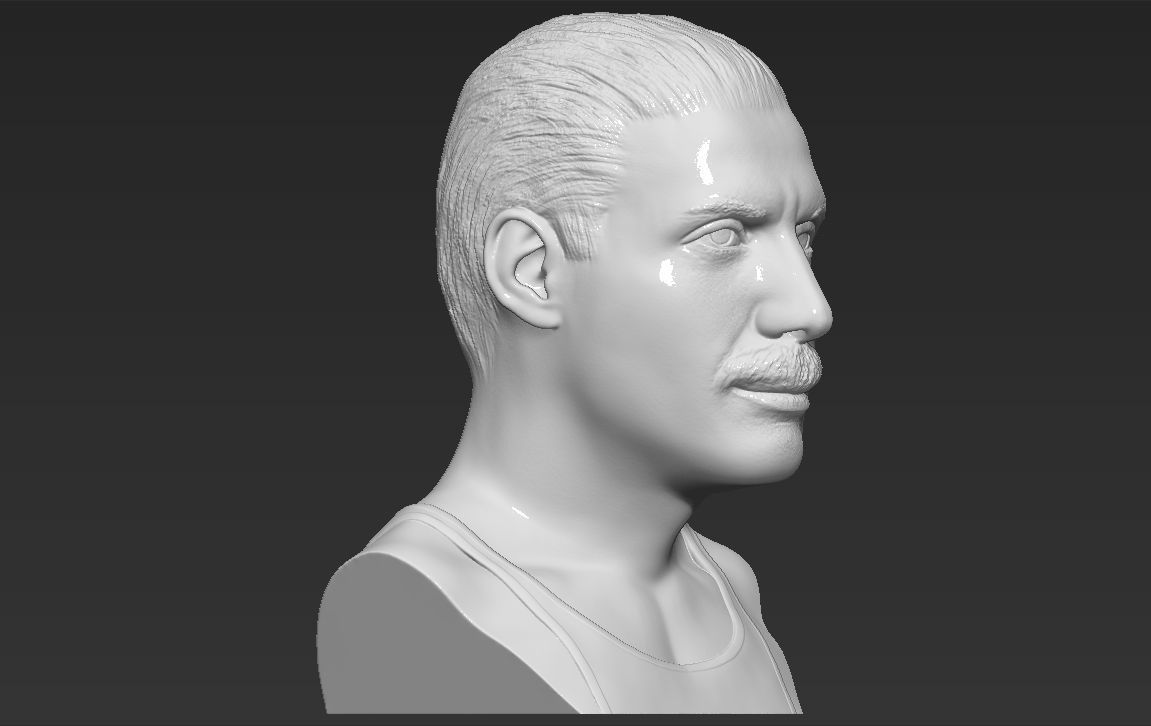 Freddie Mercury bust 3D printing ready stl obj formats 3D print model_9